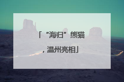 “海归”熊猫，温州亮相
